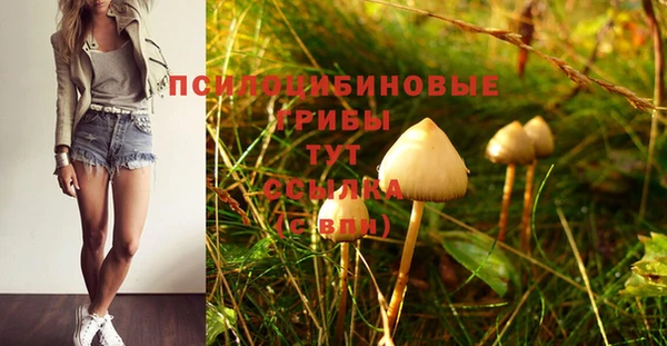 трава Абинск