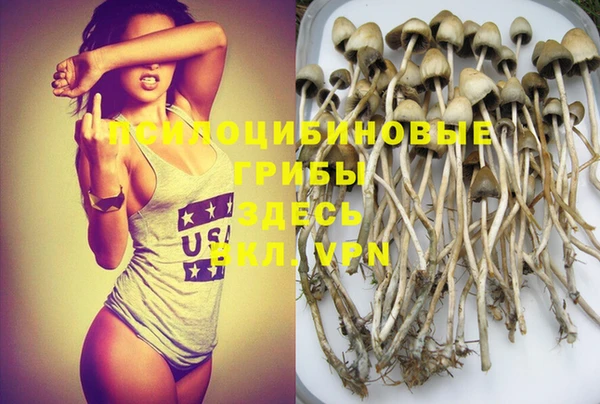 трава Абинск